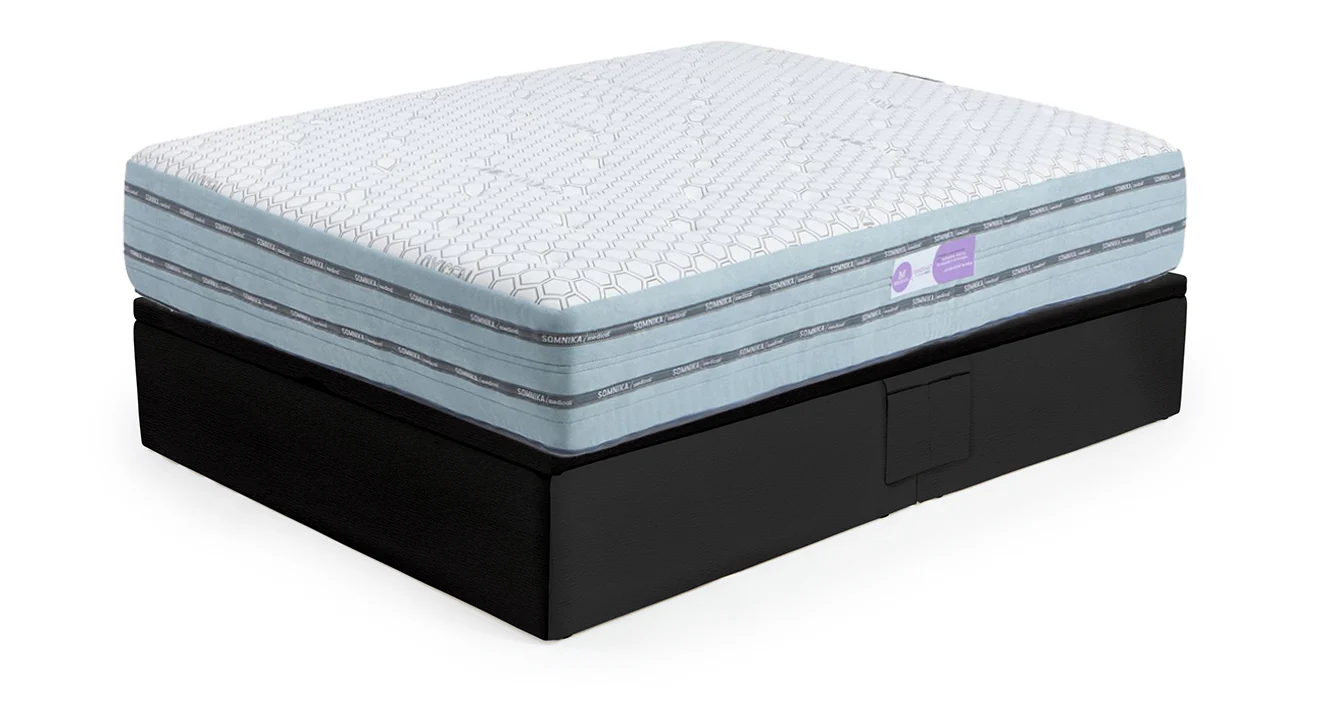 Imagen del producto 100